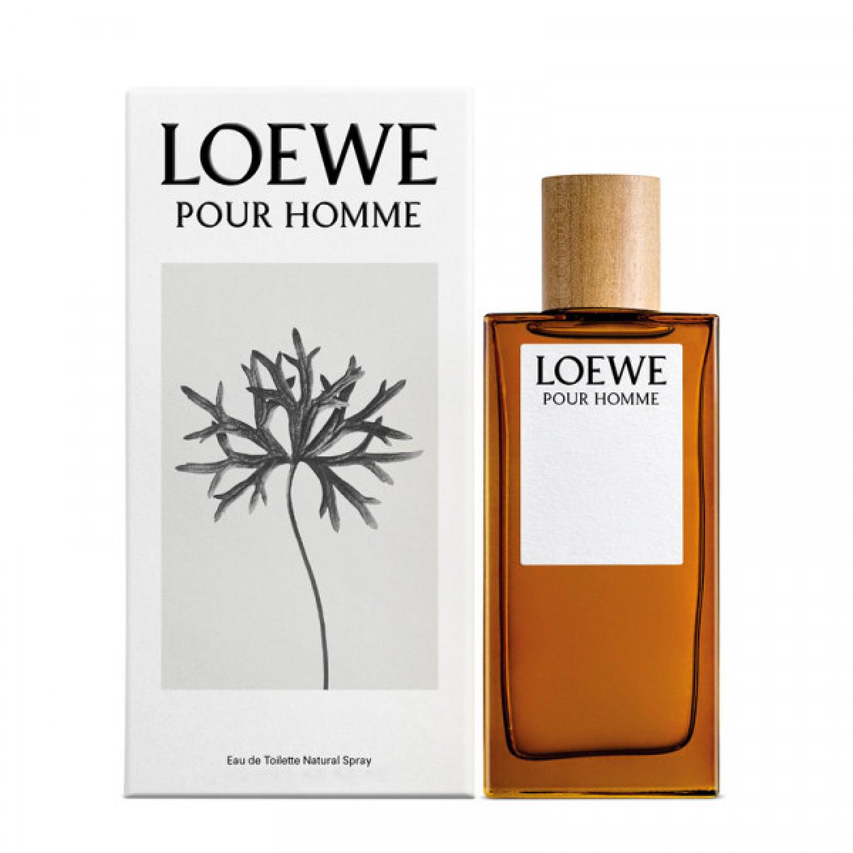 Loewe Man Edt 100ml